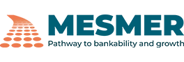 Mesmer LMS